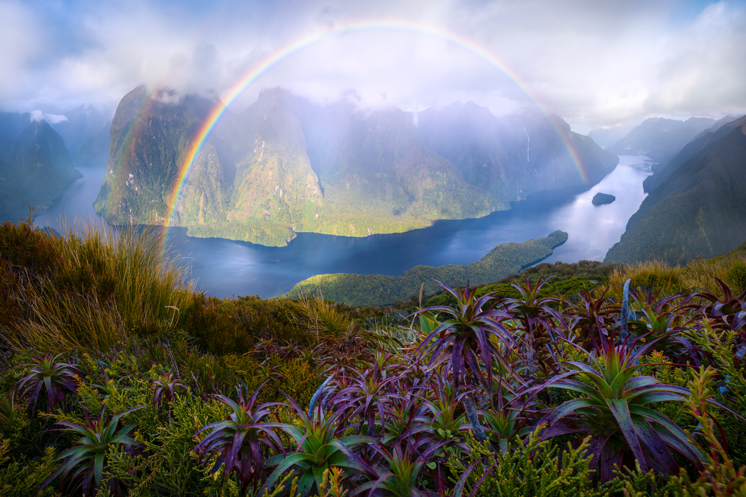 Image for Tourism New Zealand: Earned-First Ansatz für eine Traum-Destination