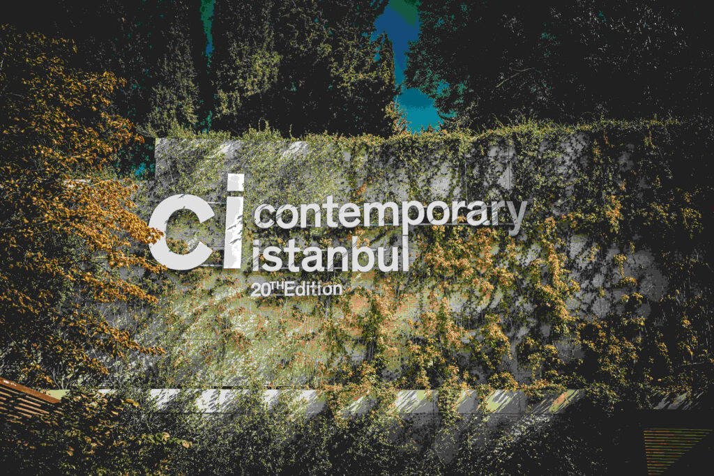 Image for Contemporary Istanbul