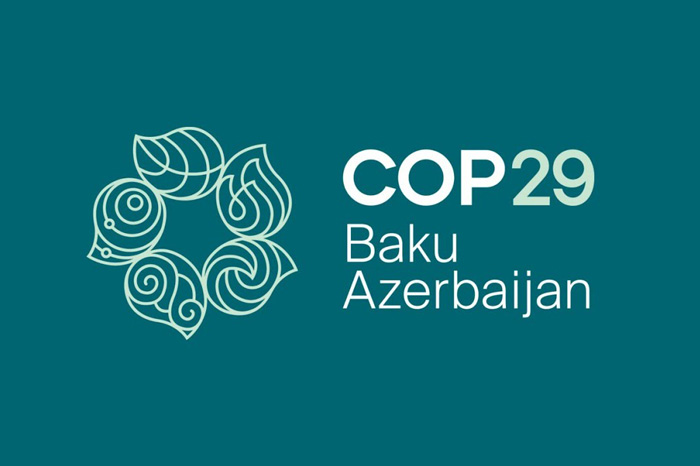 Image for Top 9 Takeaways from COP29